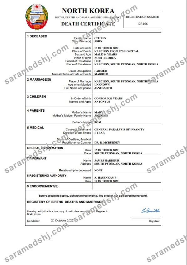 North Korea vital record death certificate Word and PDF template
